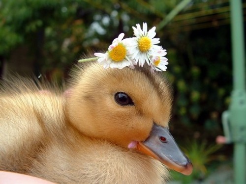 ameaganproduction:  In case you’re having a bad day… 