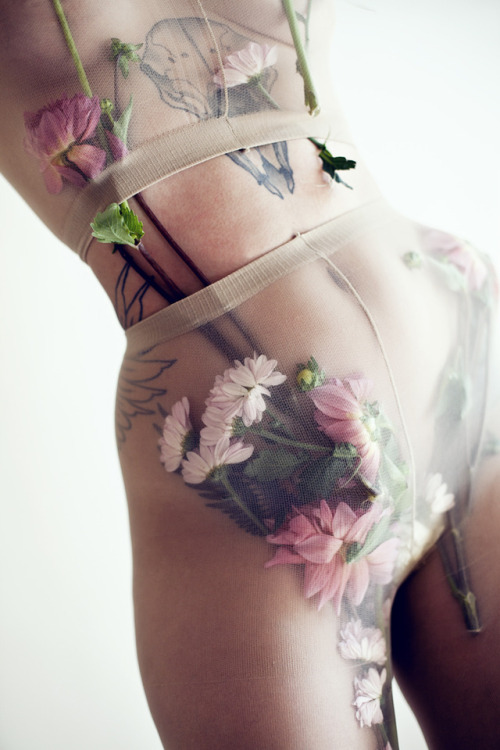 Dahlia2017self