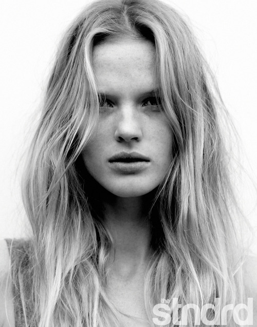 Anne V