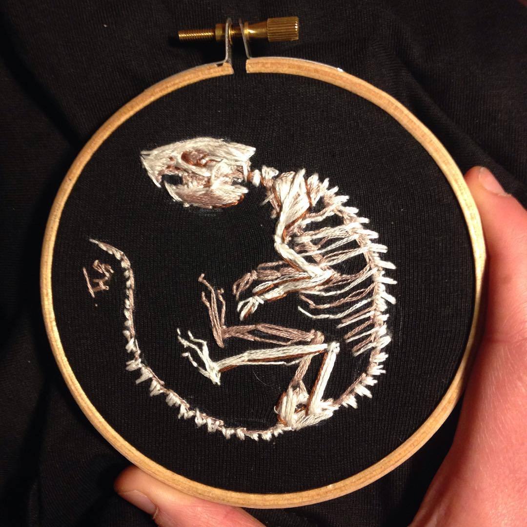 scrappapertiger:
“ Needed to relax from some work stresses today so decided to embroider a rat skeleton.
#illustration #embroidery #needlework #sciart #sciencecommunication #scicomm #anatomy #skeleton #rat #naturalhistory #artistsontumblr...