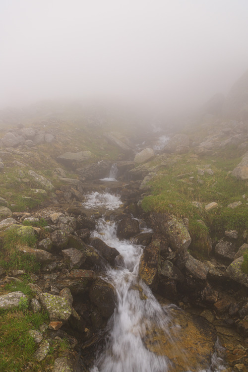 nature-hiking:  Mountain stream appearing