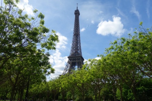 Various view of the Eiffel Tower in beautiful spring weather!