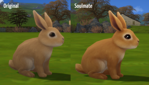 someone-elsa:Soulmate Eyes - Cottage Living AnimalsDefault replacement textures for Cottage Living