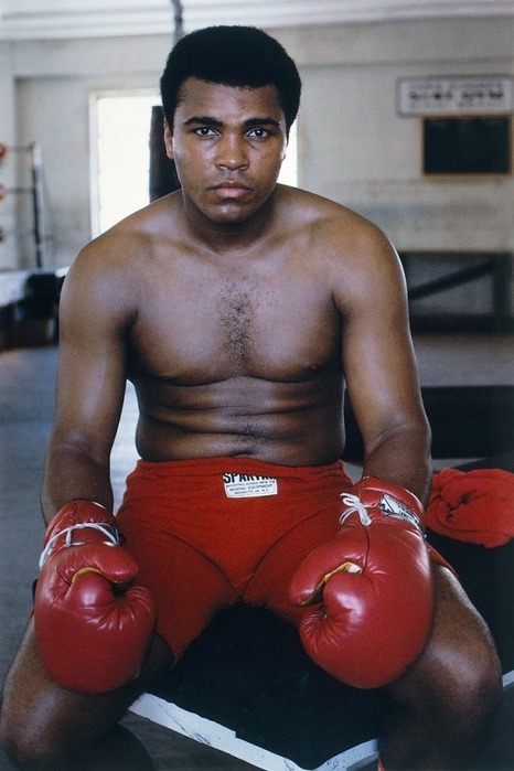 The Greatest……Muhammad Ali
Follow us on TUMBLR PINTEREST FACEBOOK TWITTER