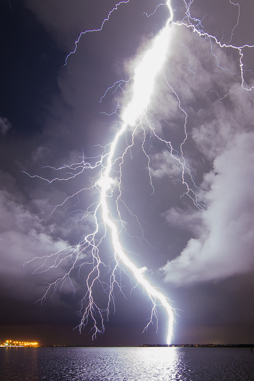 plasmatics-life:  Huge Bolt over Tampa Bay ~ By Old Boone