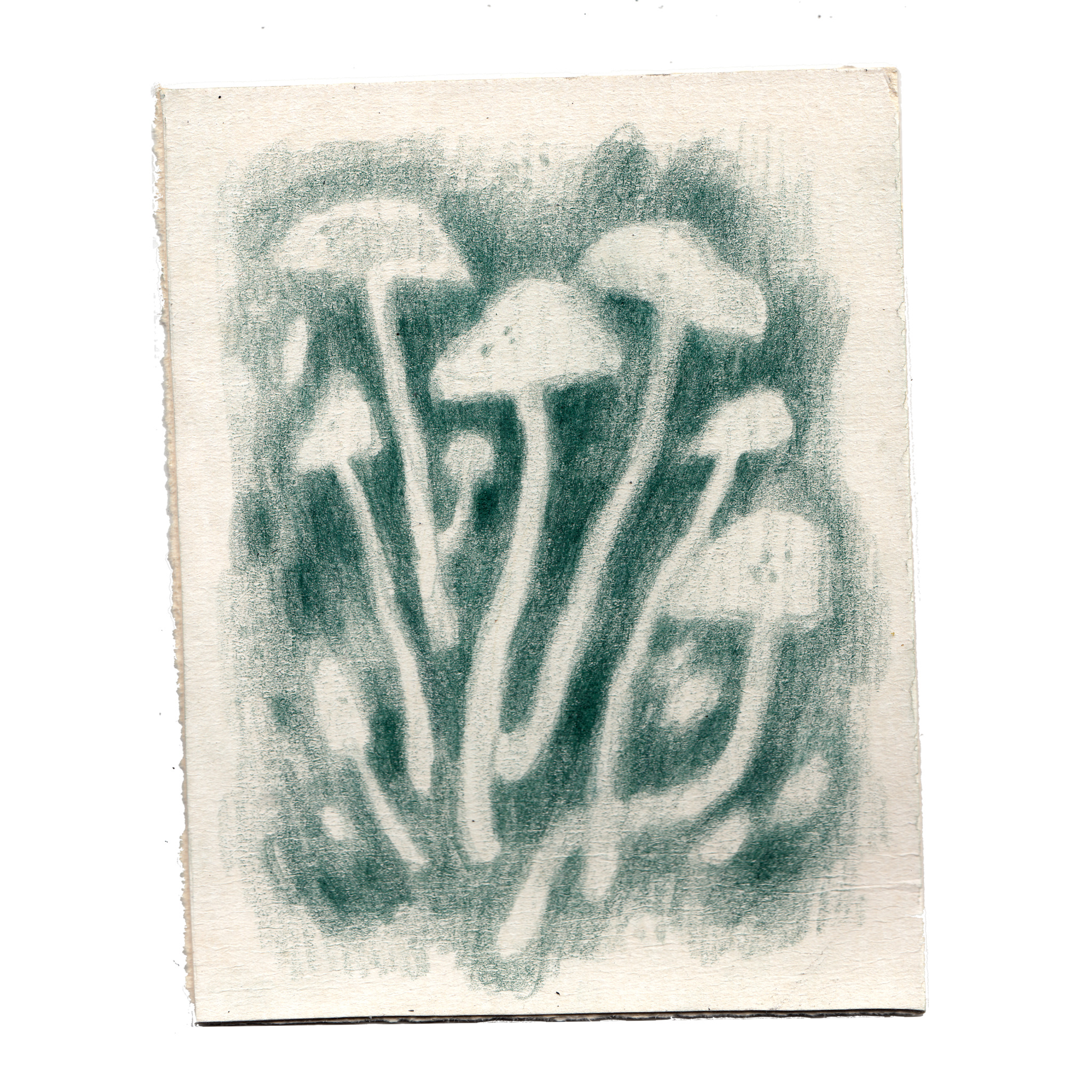 julia-famula:shroomz