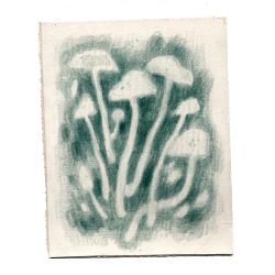 julia-famula:shroomz