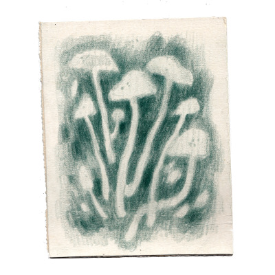 julia-famula:shroomz