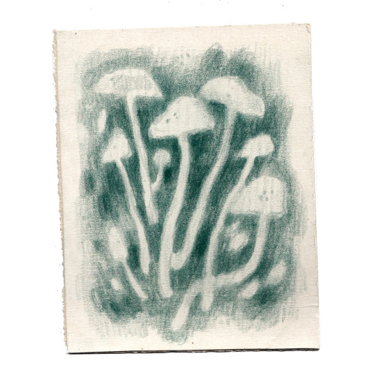 julia-famula:shroomz
