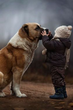 Un amigo que te acompañará por siempre, incluso en el pensamiento. 