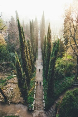 focus-damnit:  (via Verona, Italy | Express