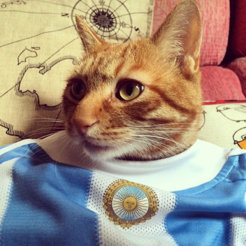 More Argentina Love. Great World Cup! (by 森山大头)
