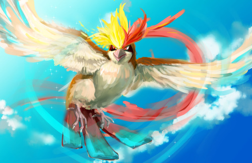 gourgeist:  Pidgeot → Mega Pidgeot 