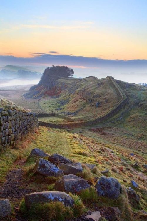 and-the-distance:Hadrian’s Wall, Northumberland, UK.