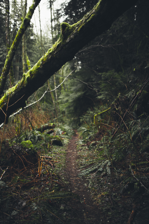 earth-dream: Path