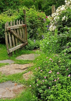 magickandmoss:secret garden vibes ??