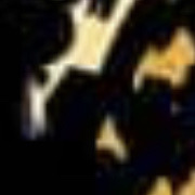 There Some Speculation That This Silhouette May Be Courtneys