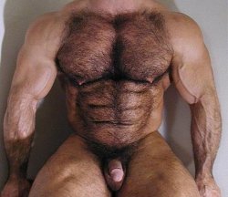 hairy-chests:  HairyChestS  I recognize Tom