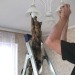 cat-memes-only:That’s how you do it Jordan, I’m not explaining it twice 