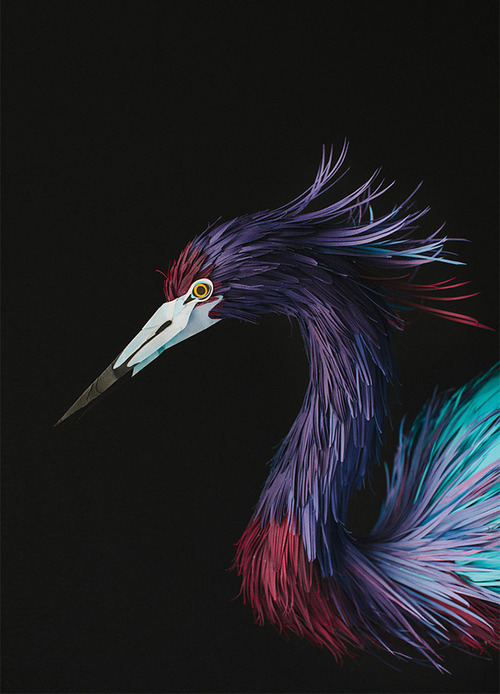 farewell-kingdom:New Paper Birds from Diana Beltran Herrera (via)