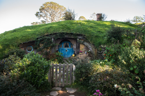 captainhanski:  Hobbiton / The ShireHannah Ray - twitter | instagram | blog | facebookblog post: here