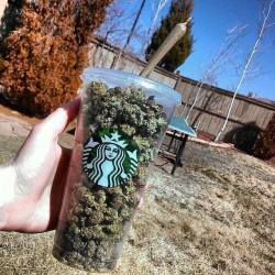 My kind of Starbucks!