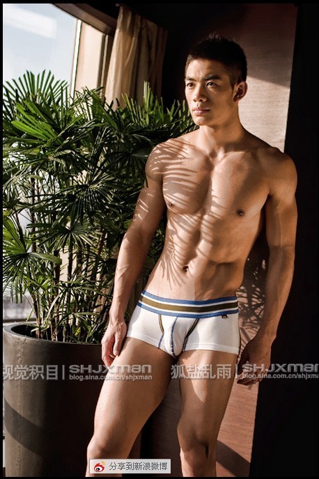Sex Asian Muscle Club pictures