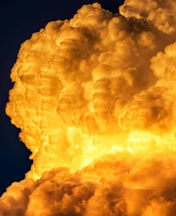 photographss-world:Ne zamandı kuşların yüreği havalandırması ne zamandı gökyüzünün