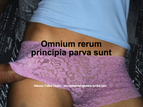 Omnium rerum principia parva sunt - Everything has a small beginning. 