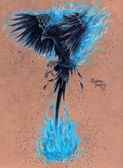 the-wool-to-hide-the-wolves:  Pheonix by