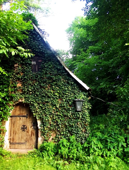 hymntohope:  by Harald Haefker