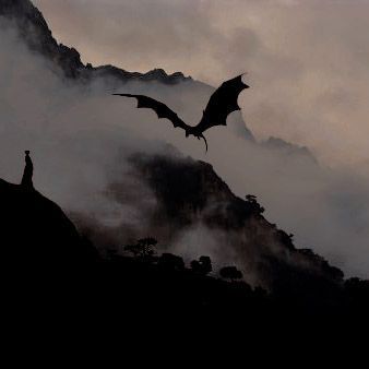 Title: Dragon Rider (Dragon Rider #1)