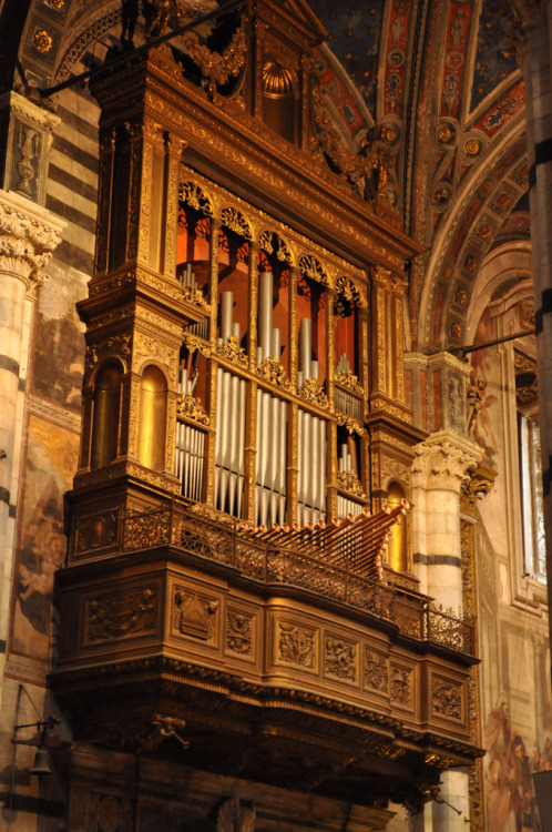 Siena Cathedral, interiors. 