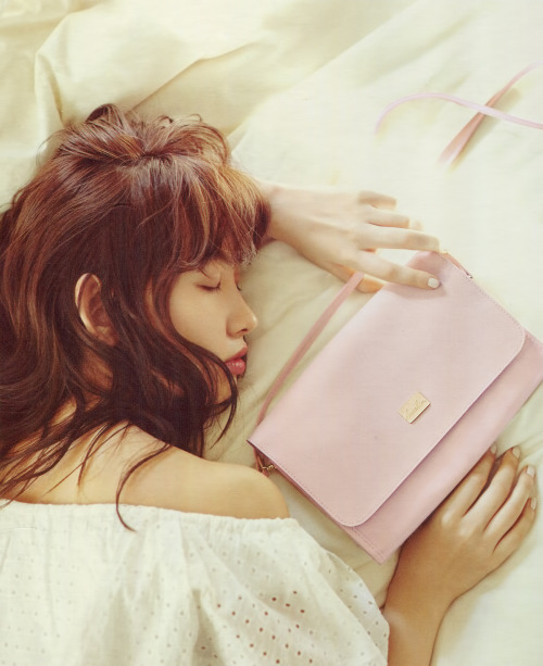 gooooov: dazzlin “ROMANTIC BLOOMING” mini book