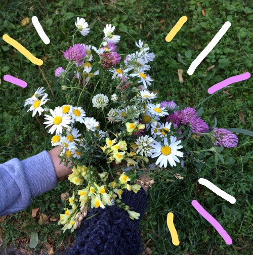 tinyhappykoala:  last day of summer // walking and picking flowers 🌿 