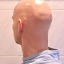 ositocarinositous