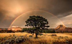natgeoyourshot:  Top Shot: Rainbow Connection