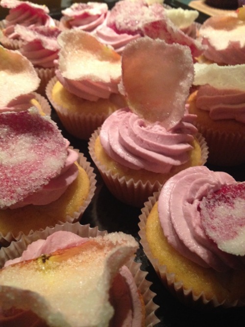 Lichter-rose-cupcakes
