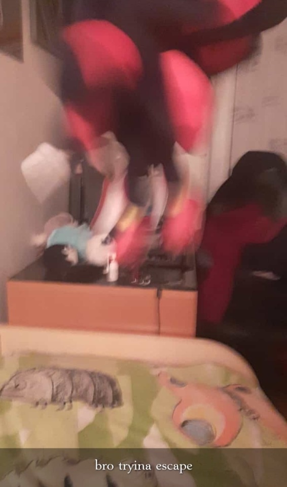 My Friends Made The Fatal Mistake Of Gifting Me A Shadow Plushie For My Birthday