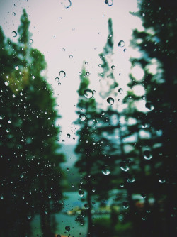 moody-nature:  Mammoth Rain | By Kendra Walter