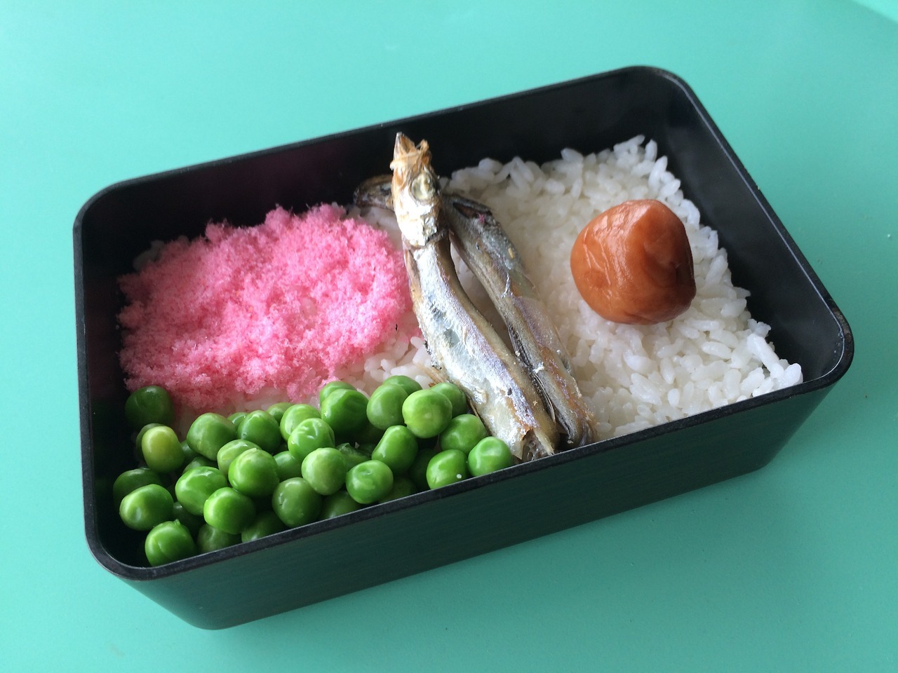 My first beginner bento with my new Totoro bento box! : r/Bento