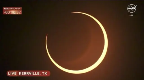 stemwithjooricanka - Stem with Joori Canka