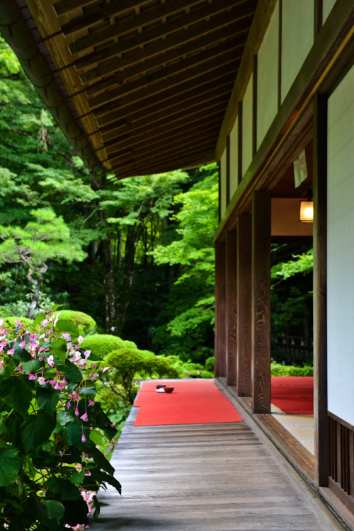 dreamtravelspots: Shrine in Kyoto - Japan