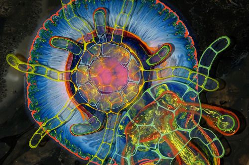 asylum-art-2:   Bruce Riley Creates Psychedelic Art By Pouring Paint And Resin Onto