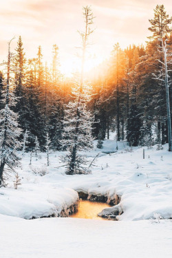 lsleofskye:  Sweden | alexanderneimert