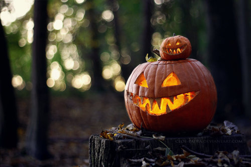 365 Days of Halloween