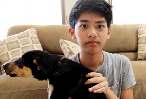plasticbagvevo:  plasticbagvevo:  guess what i just got            say hi to kitkat