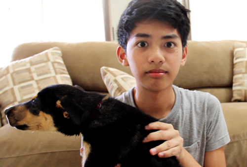 plasticbagvevo:  plasticbagvevo:  guess what i just got       say hi to kitkat everybody….. 