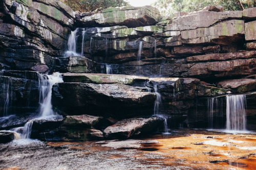 Bokor National Park