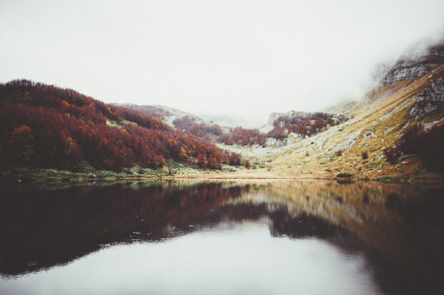 elenamorelli:  { there is still life ahead } 